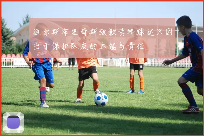 迈尔斯布里奇斯致歉黄蜂球迷只因出于保护队友的本能与责任