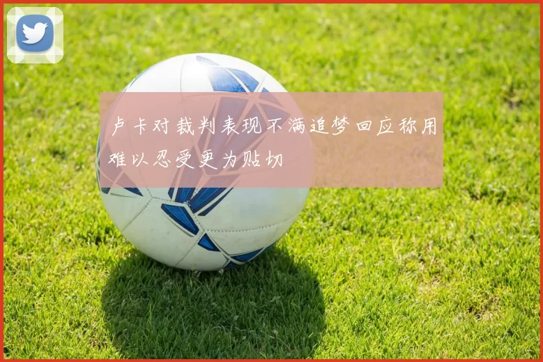 卢卡对裁判表现不满追梦回应称用难以忍受更为贴切