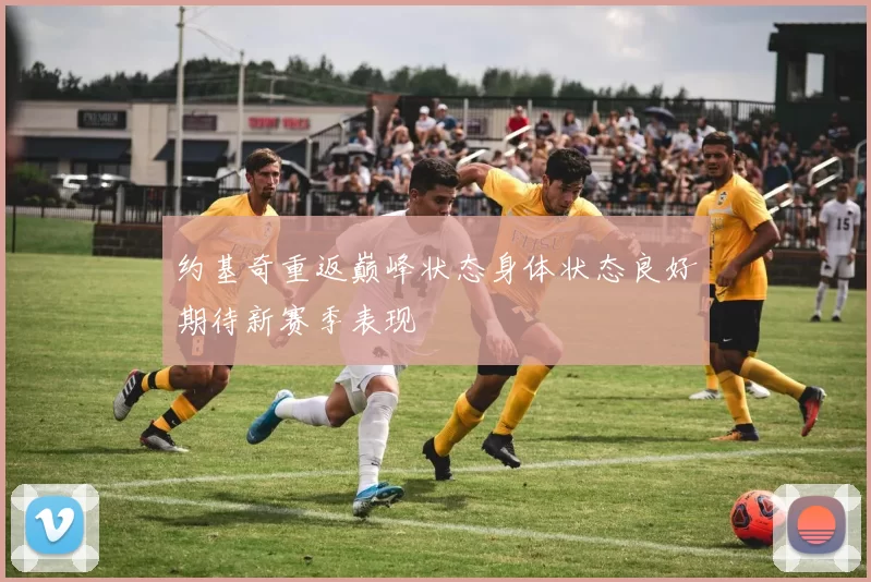 约基奇重返巅峰状态身体状态良好期待新赛季表现